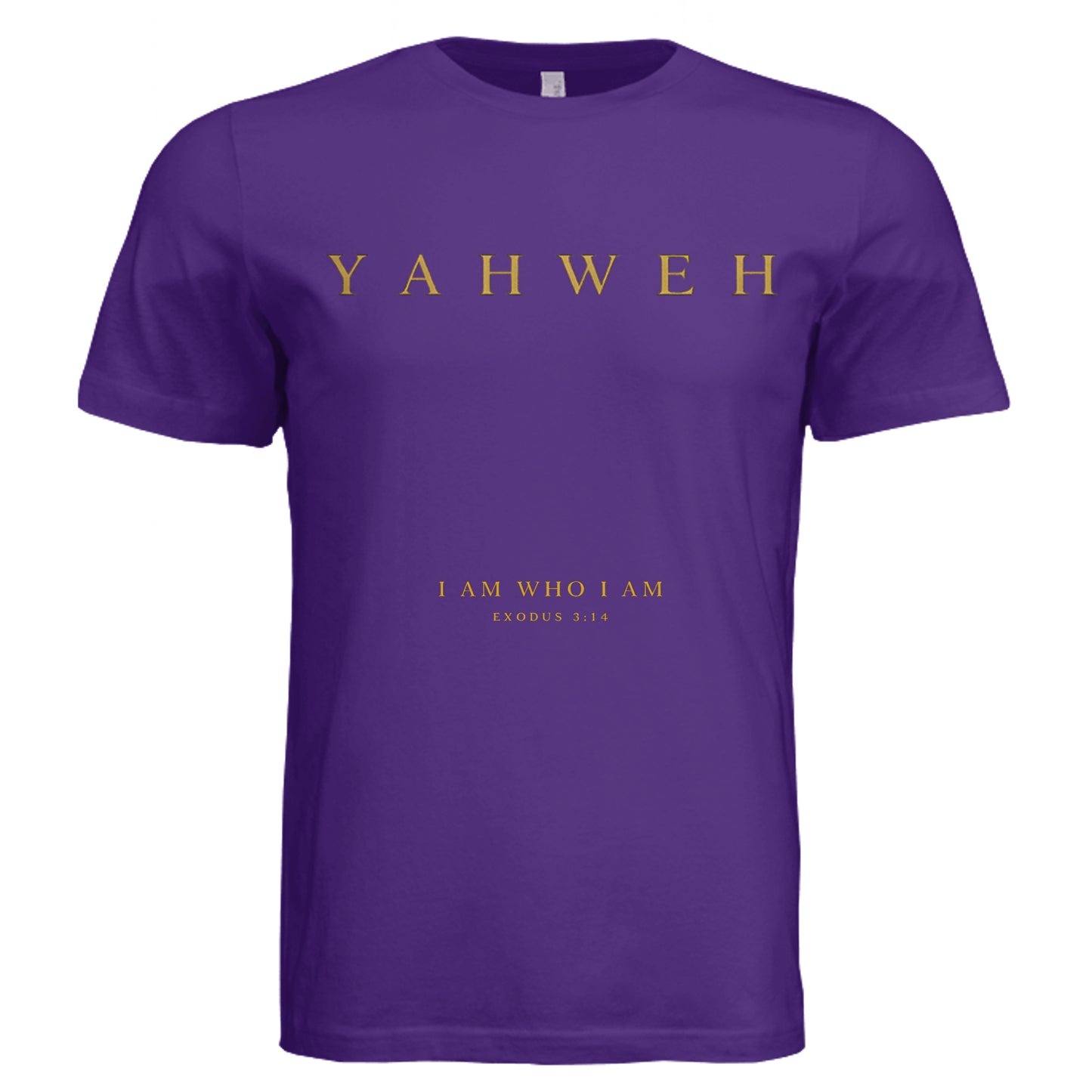 Solid Team Purple Triblend - 3413C - FRONT